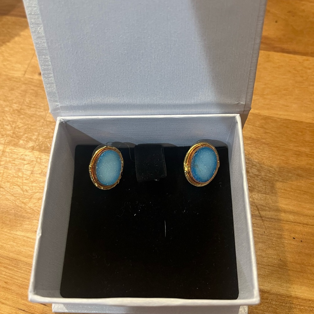 Never worn: Elegant Gold and Blue Earrings